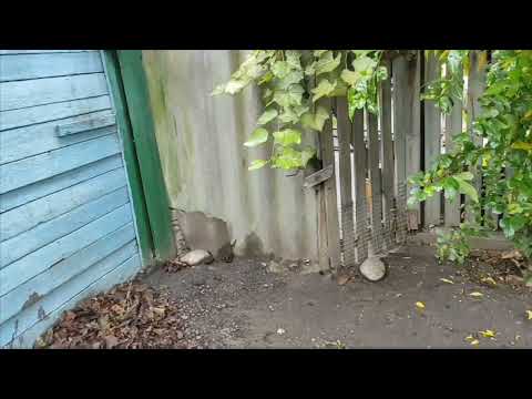 Видео: 6 октября 25 Земляные работы в доме. 