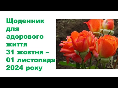 Видео: Щоденник важливих справ на городі, в садочку, на квітнику, для здоров'я 31 жовтня - 01 лист-да 2024