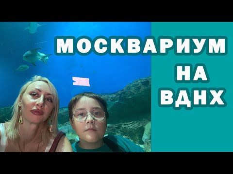 Видео: МОСКВАРИУМ. САМОЕ ПОПУЛЯРНОЕ МЕСТО ВДНХ.