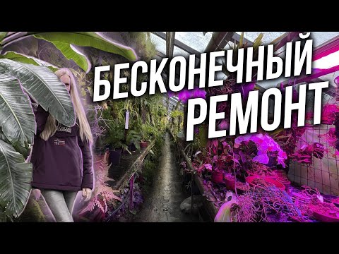 Видео: ВЕЧНАЯ РЕКОНСТРУКЦИЯ. Старая фондовая оранжерея Ботанического сада закрыта на ремонт. Мы пробрались!