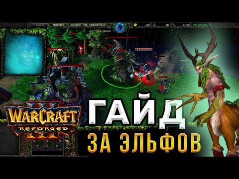Видео: Гайд За ЭЛЬФОВ для НОВИЧКОВ - WarCraft 3:Reforged - Как играть за НОЧНЫХ ЭЛЬФОВ в ВАРКРАФТ 3