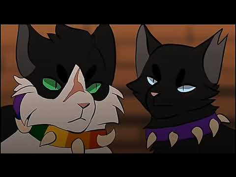 Видео: Коты воители Бич клип - Смерть луны.