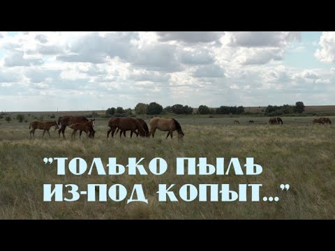 Видео: Специальный репортаж «Только пыль из-под копыт...»