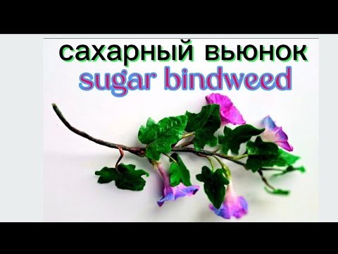 Видео: Как сделать вьюн из мастики/Sugar bindweed