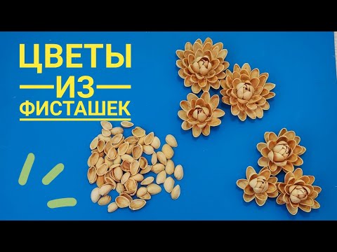Видео: ЦВЕТЫ из ФИСТАШЕК. Подробно! 2 варианта
