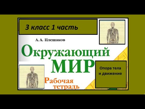 Видео: Окружающий мир 3 класс рабочая тетрадь. Опора тела и движение