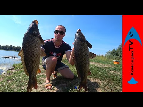 Видео: ПРОРВАЛО!!! Мешок КАРПА за Утро