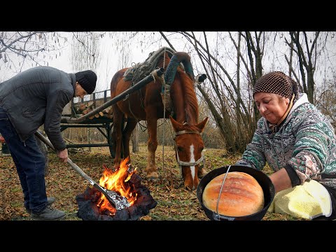 Видео: Увлекательное путешествие дедушки и бабушки  | Картофель на гриле и курица