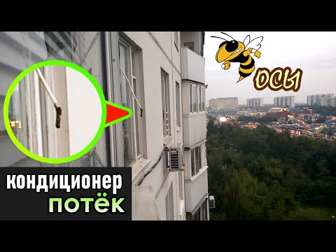 Видео: Осы в дренажной трубке. Течет кондиционер Samsung AQ09