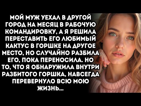 Видео: Разбив горшок с кактусом, я раскрыла страшную тайну мужа