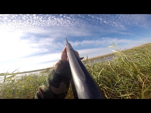 Видео: Охота на утку. Утиная охота. Охота на уток 2016. МР-153