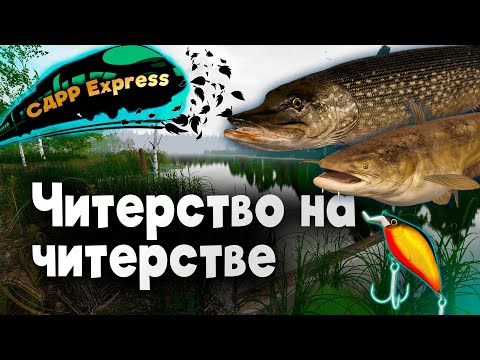 Видео: ЧИТЕРСКИЙ экспресс с сомом амурским и щуками / СДРР Express ( Русская рыбалка 4 )