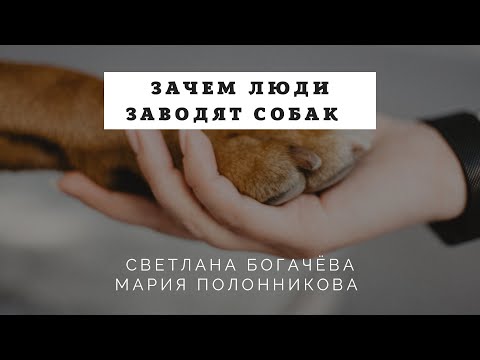 Видео: Зачем люди заводят собак. Прямой эфир 02.03.2020