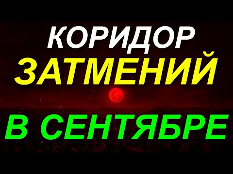 Видео: ПРОГНОЗ СЕК*АПИЛЬНОГО КОРИДОРА ЗАТМЕНИЙ В СЕНТЯБРЕ 2025. 7 - 21.09. ПРОГНОЗ НА СЕНТЯБРЬ 💫