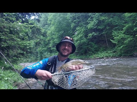 Видео: Дика струмкова форель в Карпатах!!!