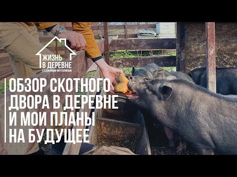 Видео: Обзор скотного двора в деревне и мои планы на будущее