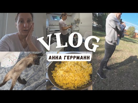 Видео: Мой совет-по поводу Блогерство// Пропал Кот🐱//Немецкий Плов//