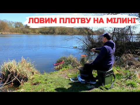 Видео: Ловимо плотву на ФІДЕР у квітні 2025. Зміна НАЖИВКИ дала результат!