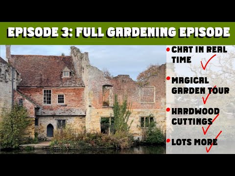 Видео: ПОЛНЫЙ ЭПИЗОД 3 «Садоводство». Ноябрь. Садоводство. Черенки лиственных пород, замок Скотни, онлай...