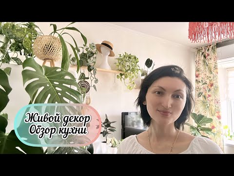 Видео: Секрет уюта! Самый лучший декор, как легко озеленить любую комнату. Обзор комнатных цветов на кухне.