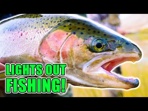 Видео: ЛУЧШАЯ летняя рыбалка на стальноголового лосося, которую мы когда-либо видели! (БОНУС: ловля и пр...