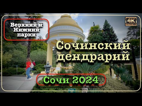 Видео: Сочи 2024 ⛵️🌴🌞Сочинский дендрарий🚶🏻‍♂️‍➡️Верхний и Нижний парки 🌴🌴