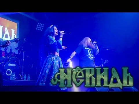 Видео: НЕВИДЬ - Волчьи тропы ведут на север (live) Орёл ГЕРЦ 08.11.2024