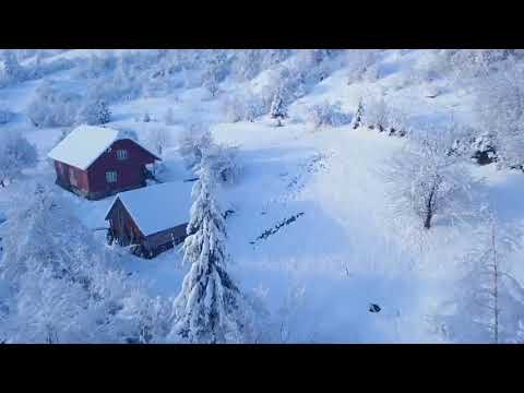 Видео: Она вошла совсем седая...