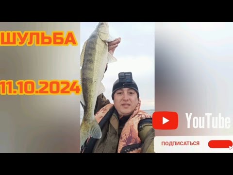 Видео: РЫБАЛКА НА СУДАКА. ШУЛЬБИНСКОЕ ВОДОХРАНИЛИЩЕ 11.10.2024г.