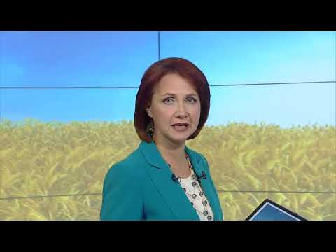 Видео: Родная земля от 17/11/23 - ТНВ