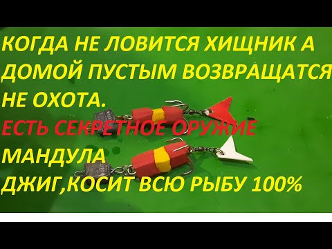 Видео: НЕ ЛОВИТСЯ ХИЩНИК,А ДОМОЙ БЕЗ РЫБЫ УЕЗЖАТЬ НЕОХОТО,ПОМОЖЕТ СЕКРЕТНОЕ ОРУЖИЕ,СНАСТЬ МАНДУЛА С ХВОСТОМ