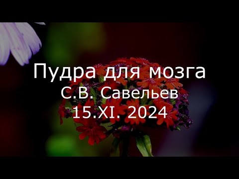 Видео: С.В. Савельев - Пудра для мозга