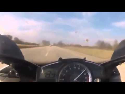 Видео: Бешеная бабочка