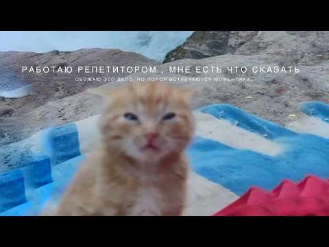 Видео: *talk*Я студентка и подрабатываю репетитором уже более двух лет| мои мысли на счет этого