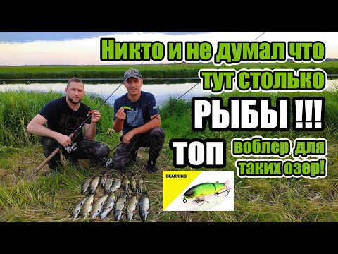 Видео: Не думал что в этом озере столько РЫБЫ!!! ТОП воблер для таких озёр Magallon. Рыбалка на спиннинг