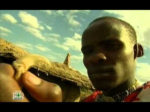 Видео: Шнур вокруг света. Кения.