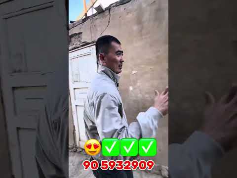 Видео: 1 ноября 2025 г.