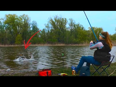 Видео: ВОНЮЧИЙ СИРОП СПАС РЫБАЛКУ!Поймала САЗАНА на это!? Рыбалка 2023