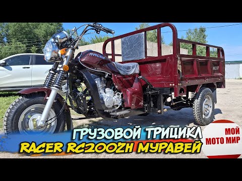 Видео: Грузовой трицикл Racer RC200ZH Муравей. Китайский брат советскому мотороллеру Тула Муравей!