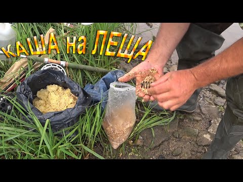 Видео: Каша на леща при ловле на сало. .Приготовление.