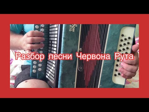 Видео: Червона Рута // Разбор песни