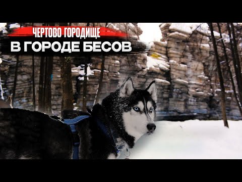 Видео: Куда сходить с собаками в поход | Чертово городище | Хипстеры у подножья