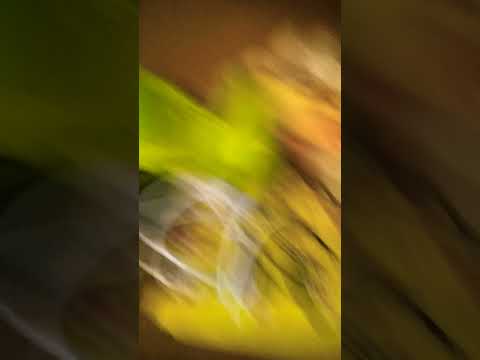 Видео: 21 июля 2023 г.