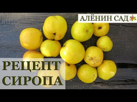 Видео: Как сделать сироп из ягод и фруктов / Сироп из хеномелеса или цидонии
