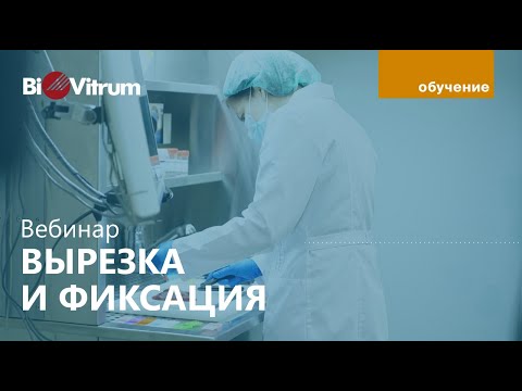 Видео: Вырезка и фиксация образцов: вебинар
