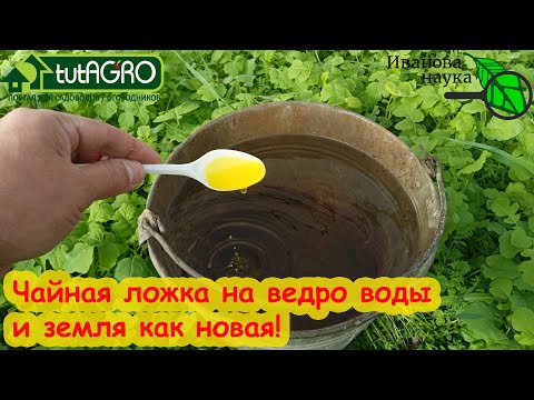 Видео: ЗЕМЛЯ СНОВА НОВАЯ, ПЛОДОРОДНАЯ, ЖИВАЯ ДЛЯ БОЛЬШОГО УРОЖАЯ! Восстановление почвы после сбора урожая.