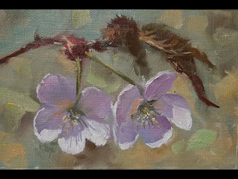 Видео: Рисуем цветочки. Мастер-классы художника Вугара Мамедова