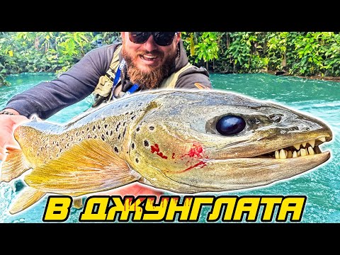 Видео: Места, където ЧОВЕШКИ крак НЕ Е СТЪПВАЛ! Бесни и НАЗОБЕНИ ХИЩНИЦИ късат и изправят куки!