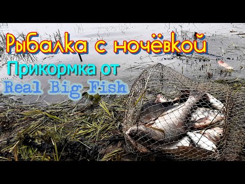 Видео: Рыбалка с ночёвкой. Рыбалка в хорошей компании. Рыбалка на донки с прикормкой Real Big Fish. На леща