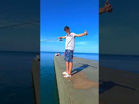 Видео: 14 июня 2024 г. Катрана поймал 😉